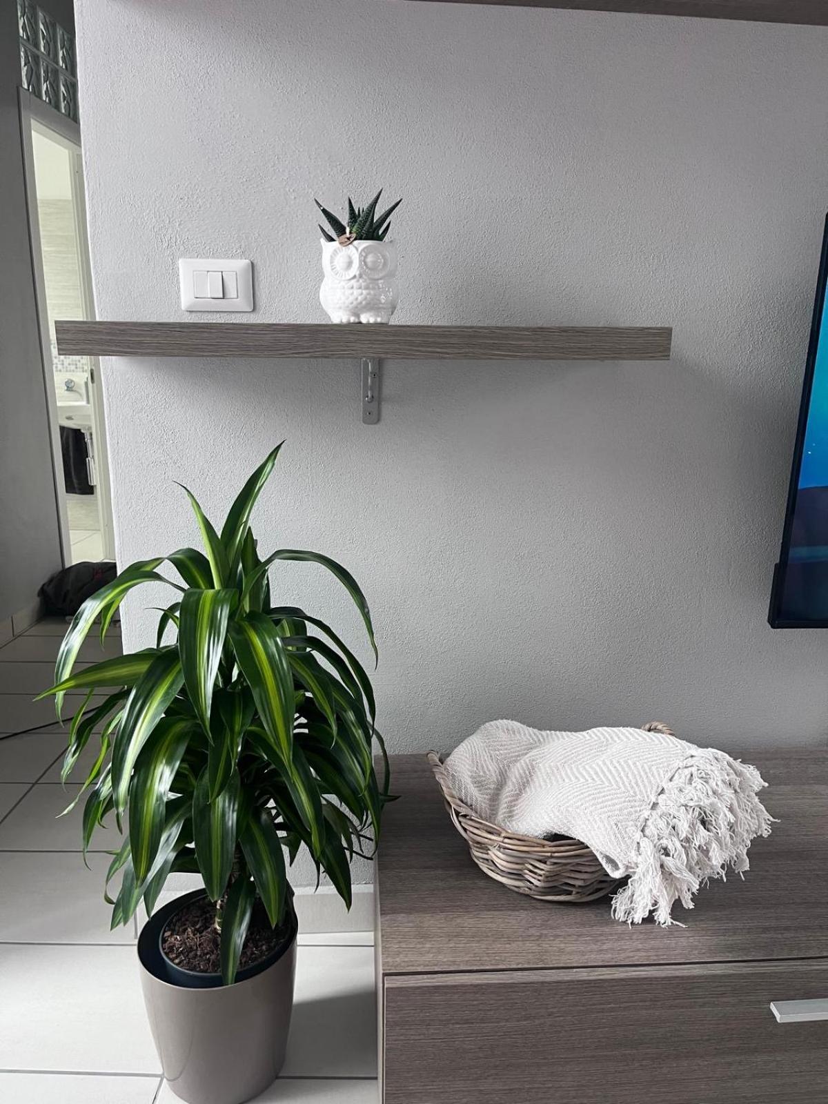 Casa Castagna Appartamento - Леко Екстериор снимка